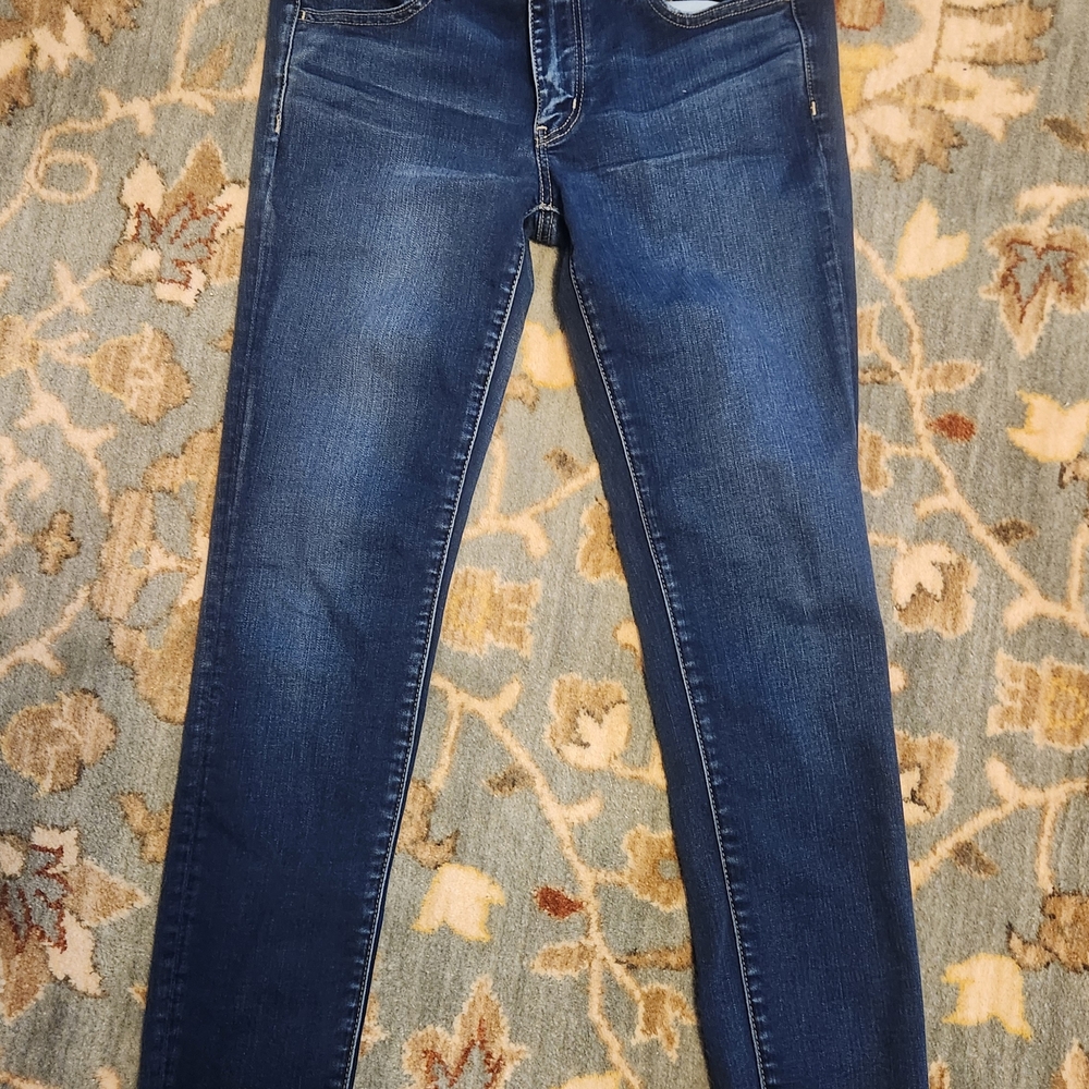 American Eagle Outfitters Indigo Skinny Jeans